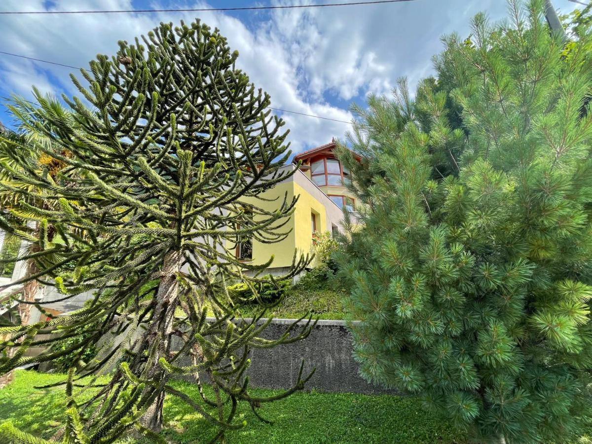 Apartma 7 - In The Heart Of Soca Valley トールミン エクステリア 写真